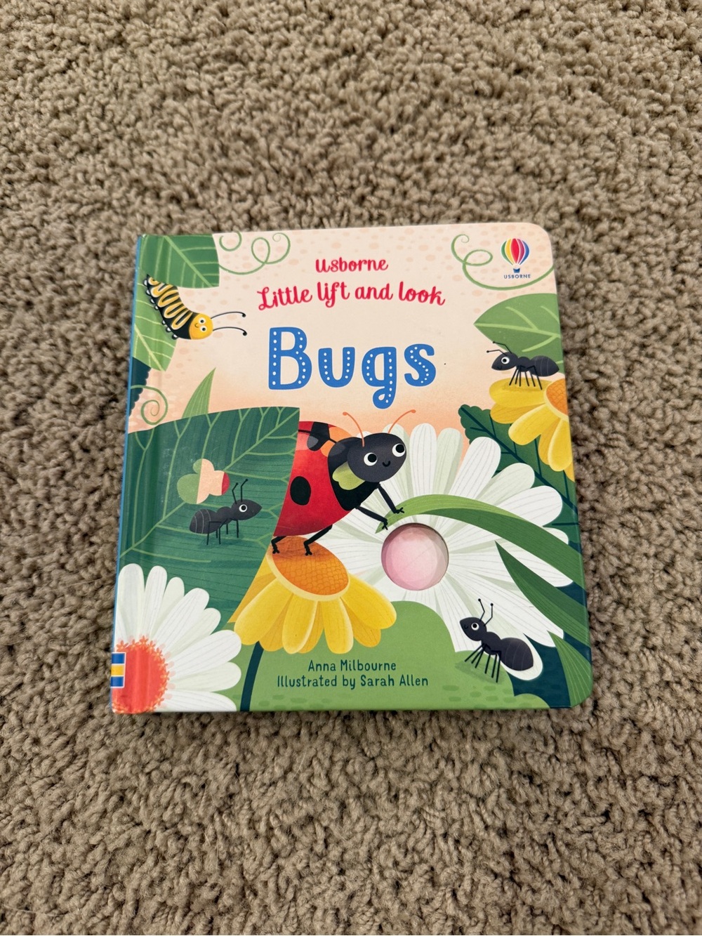 Usborne Little Lift and Look Bugs Board Book